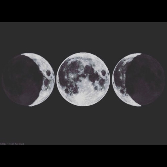 Meet your Posher, Melissa - Picture 1 of 1